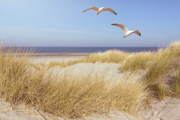 Weissenhäuser Strand