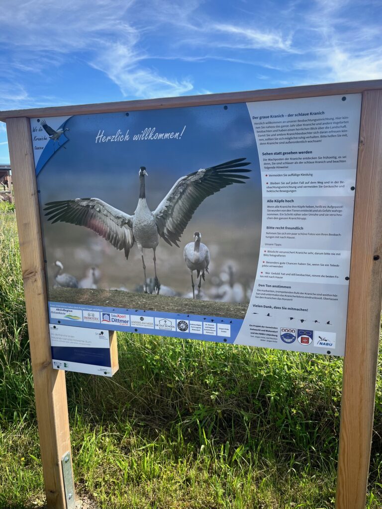 Kranichbeobachtungsturm Hohwacht