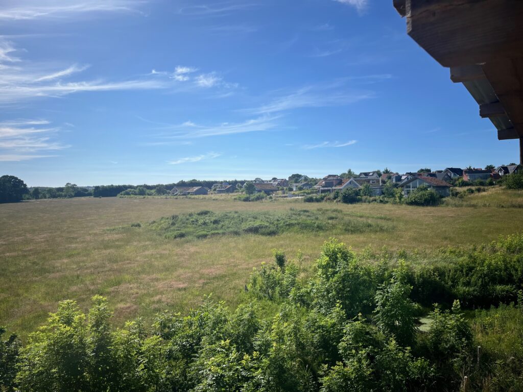 Kranichbeobachtungsturm Hohwacht