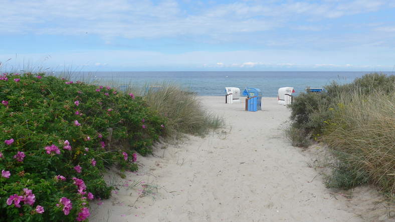 Naturschutzgebiet Hohwacht